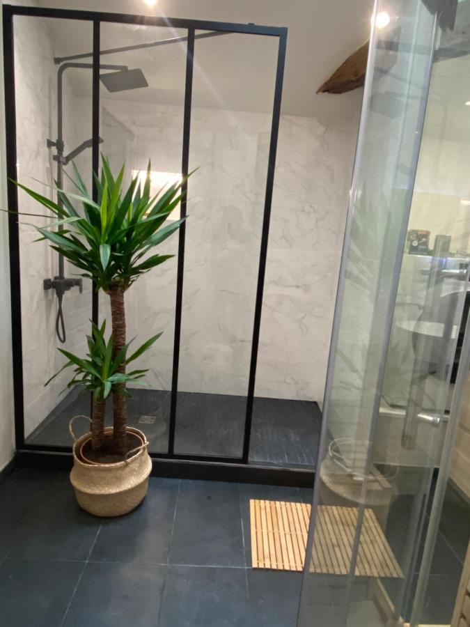 Charmant Appartement Avec Spa Фонтене-ле-Конт Екстер'єр фото